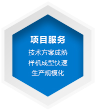 項(xiàng)目服務(wù)